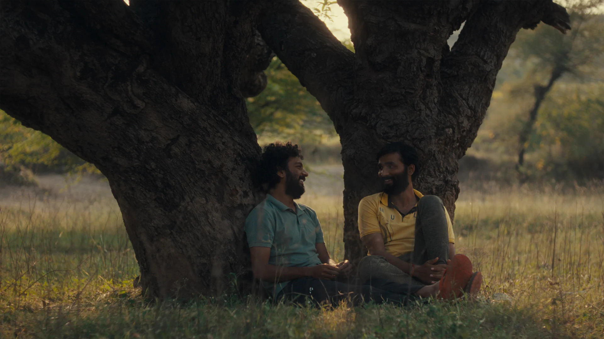 Senior Community Cinema: Cactus Pears + ScreenTalk