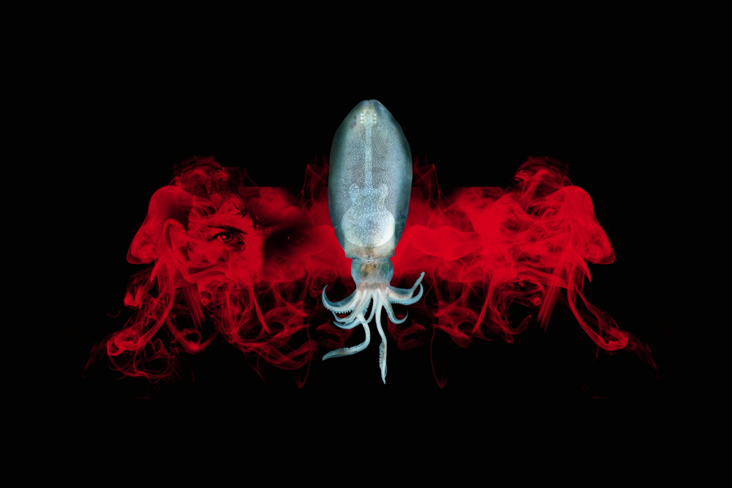 SQUID: A Victim Impact Statement