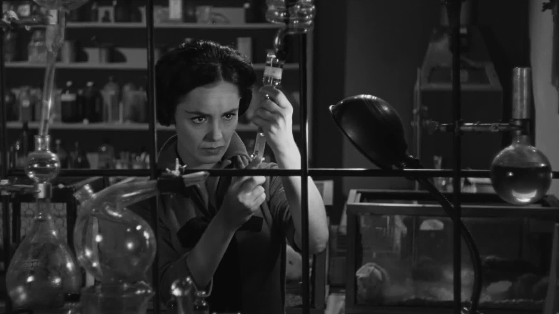 Pink Palace: THE WASP WOMAN + Shorts