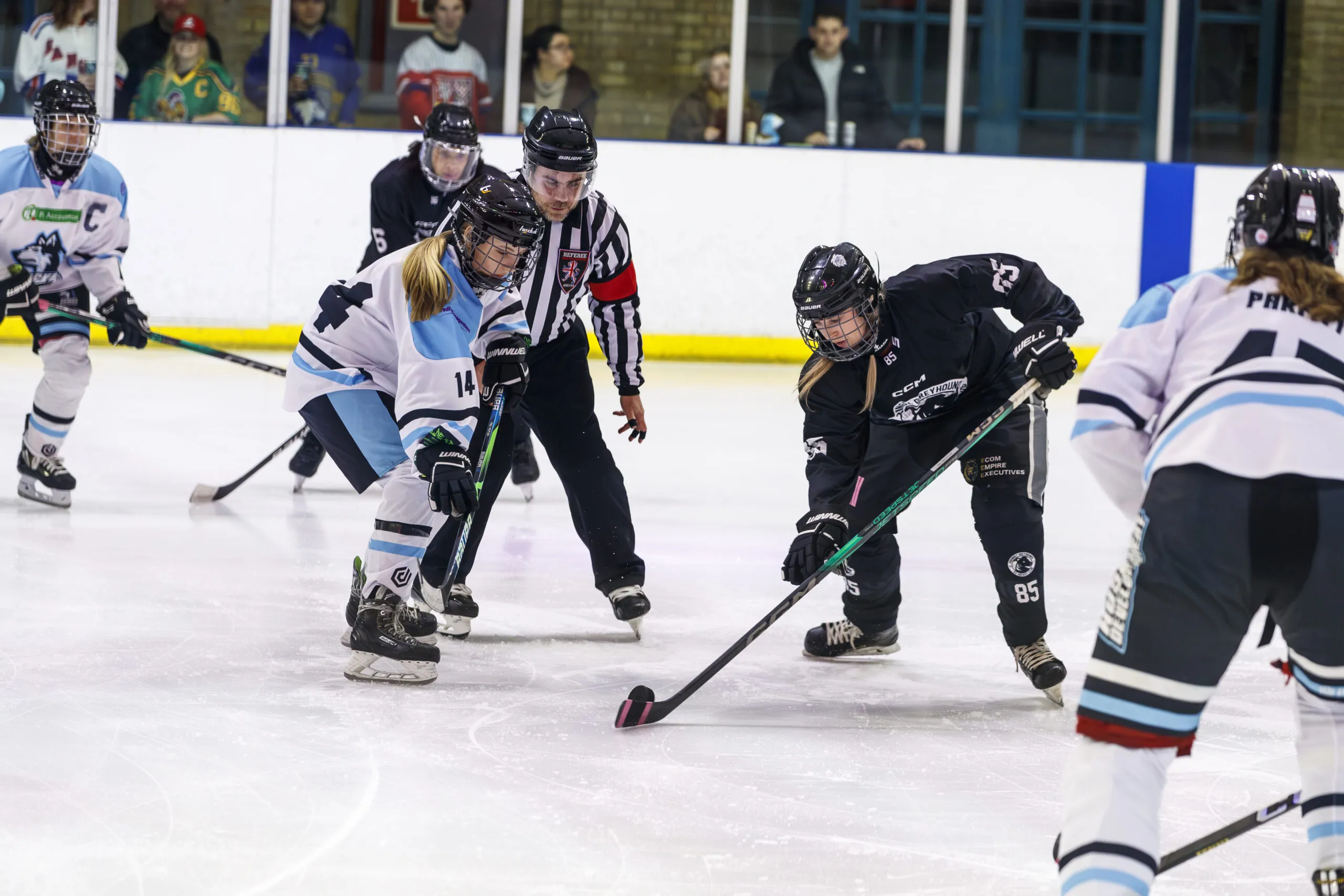 Haringey Greyhounds vs FireBees