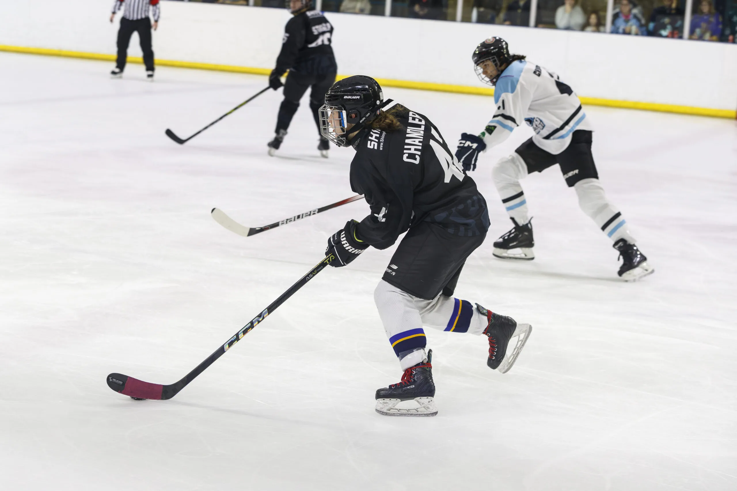 Haringey Greyhounds vs Chelmsford Cobras