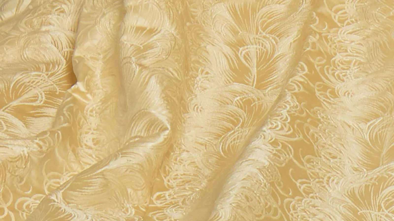 Gilded Age Fashion: with Elizabeth Block and Jacqui Ansell