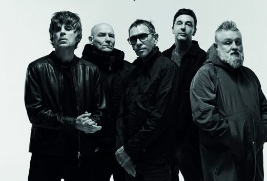 Shed Seven Jacaranda Edition