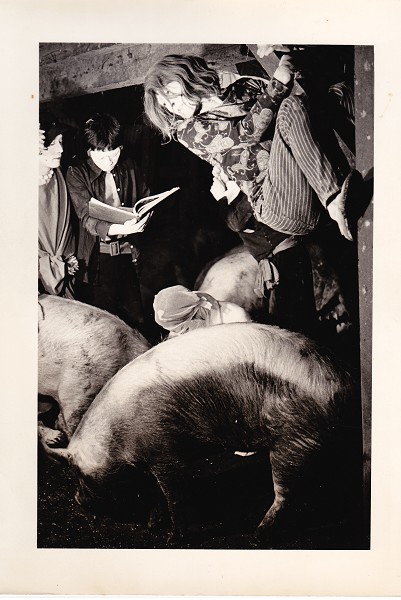 Mr. O’s Book of the Dead + Q&A with Mitsuyo Uesugi