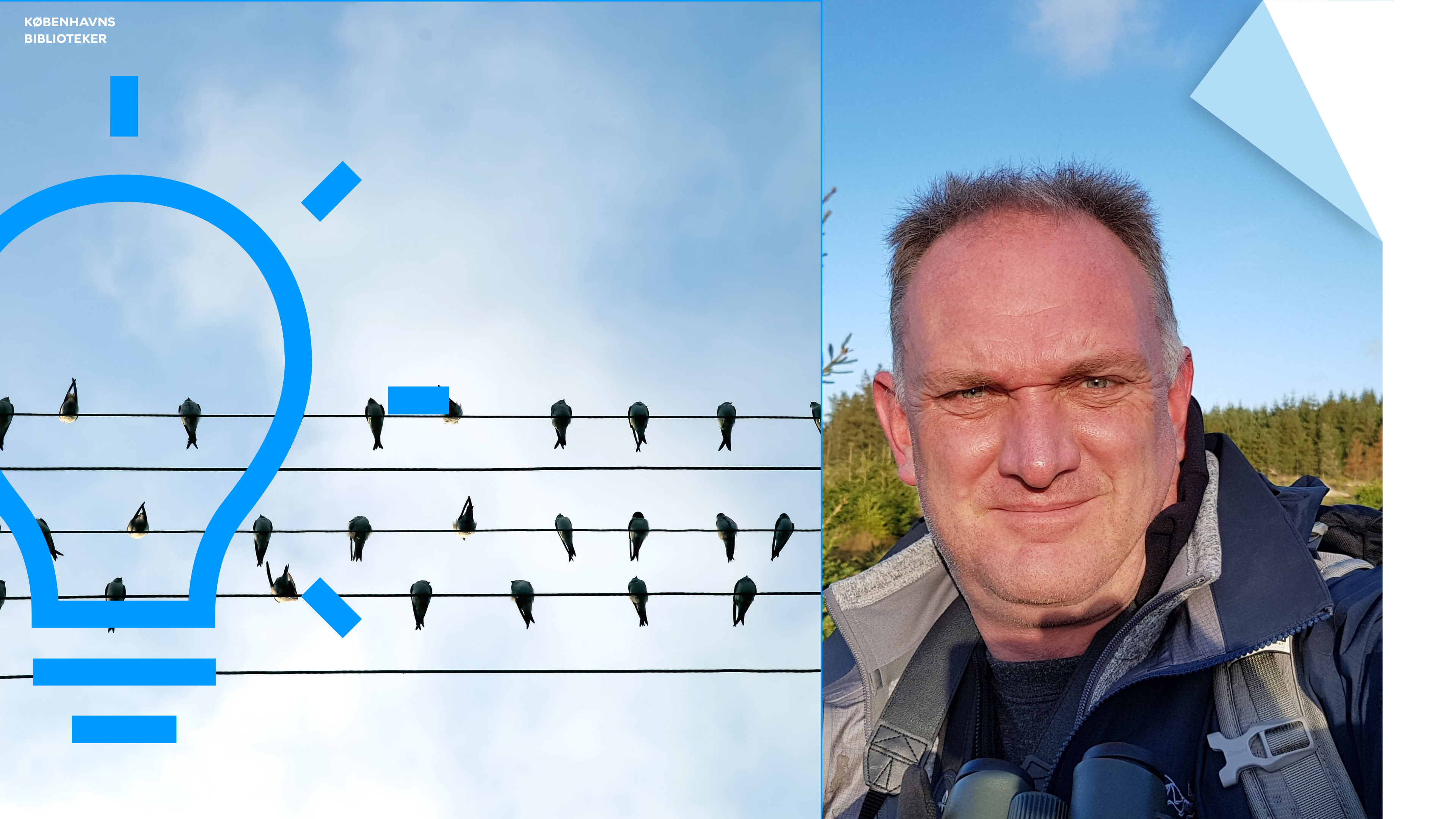 Watching Birds — With Morten D. D. Hansen