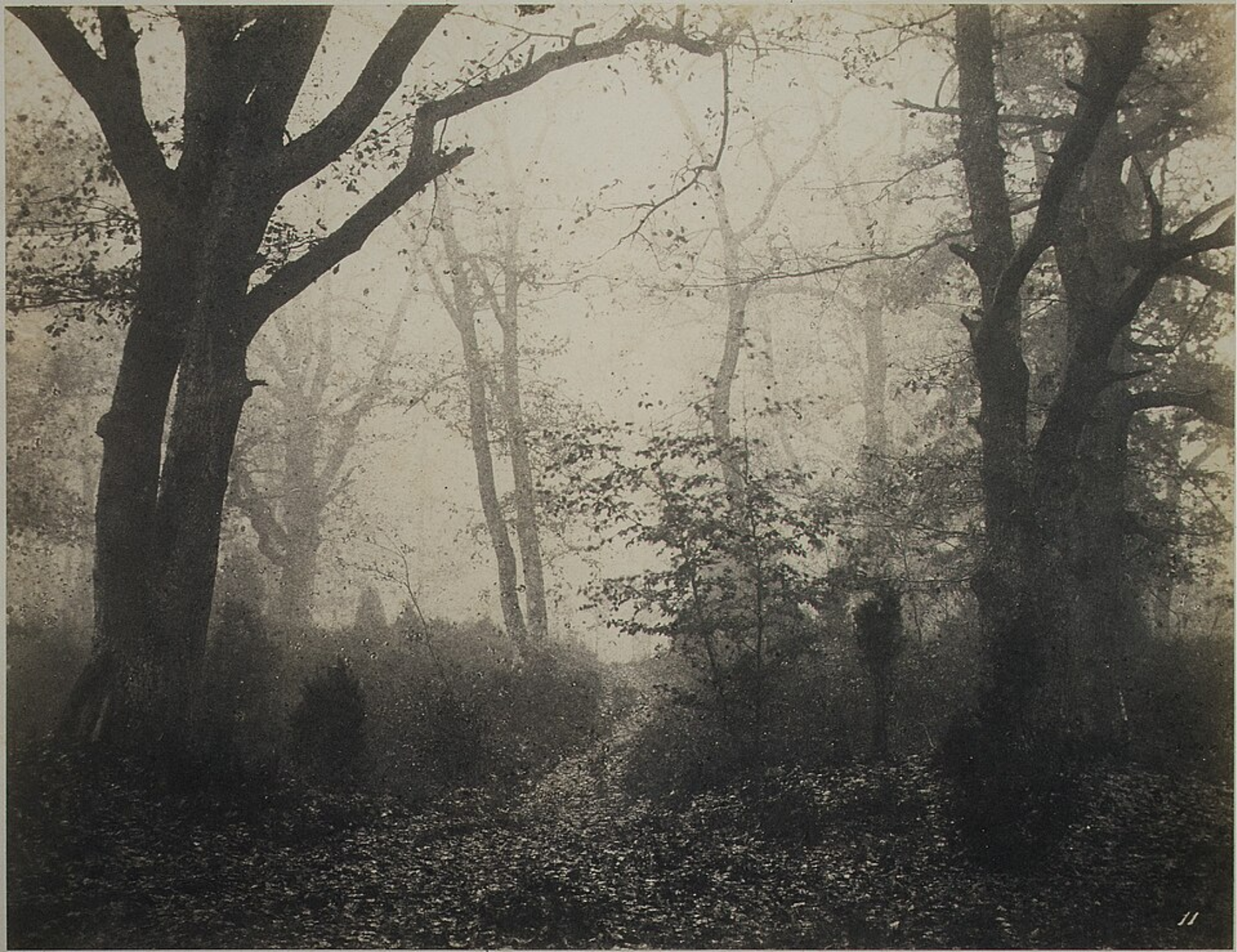 All Saints' Deathwalk