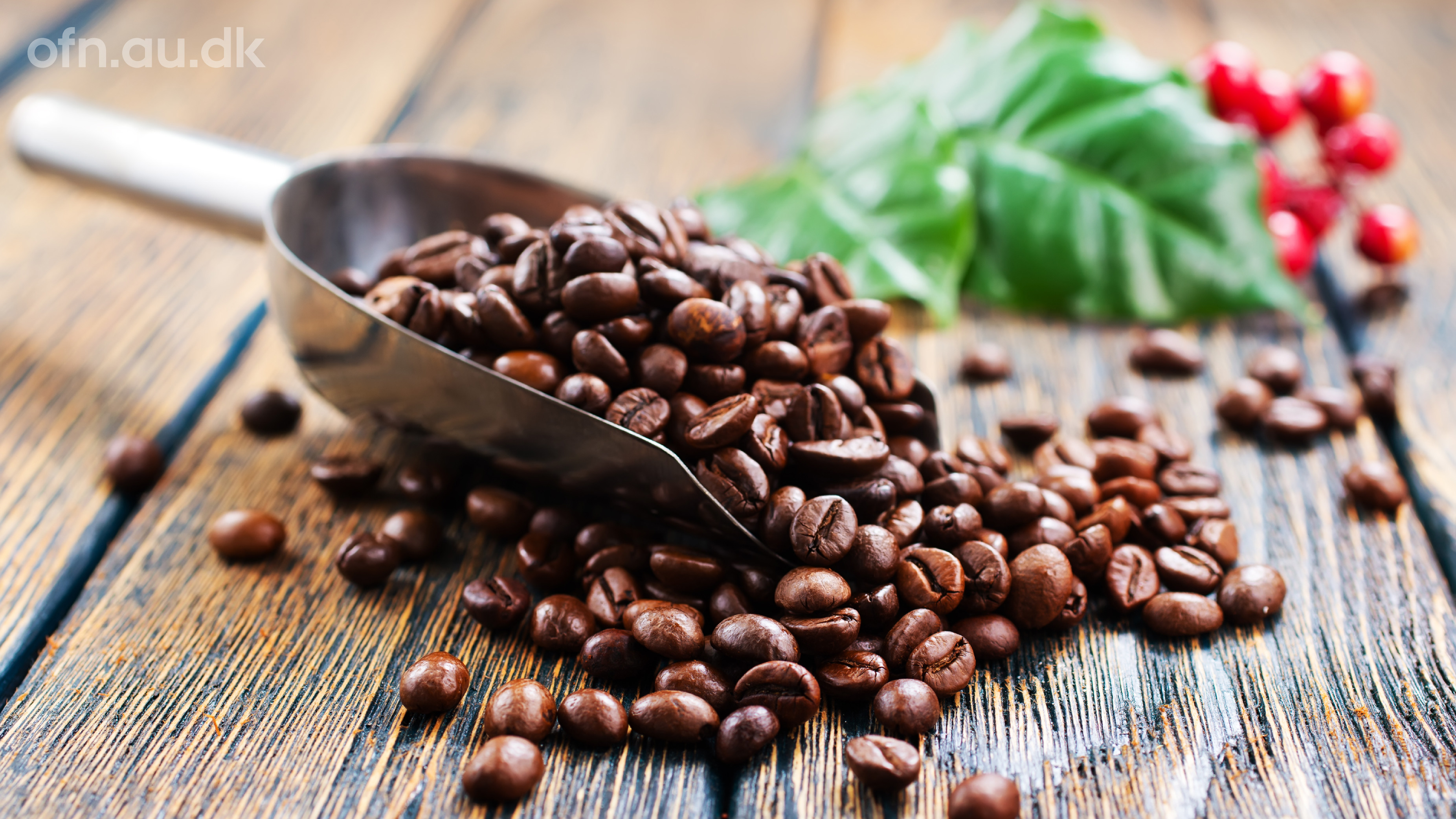 Immerse yourself in science - Coffee