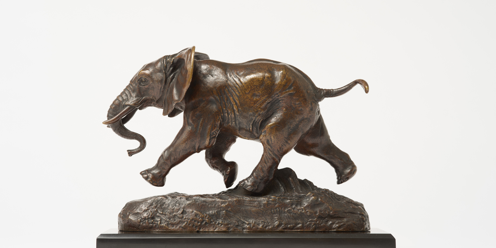 Guided tour: The entrance of the animals. Sculptures by Antoine-Louis Barye