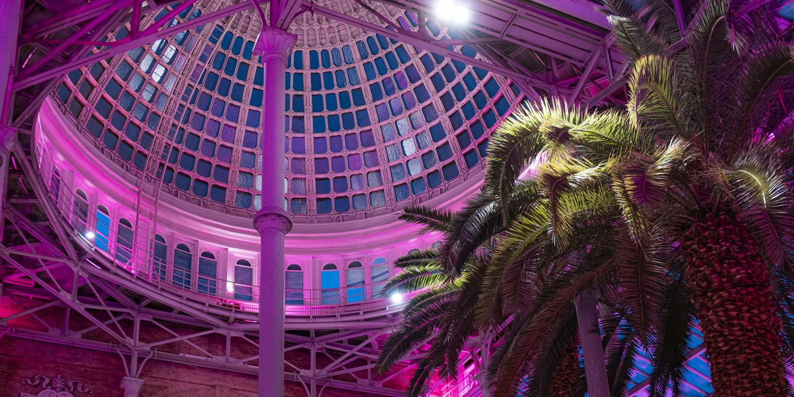 Culture Night at the Glyptotek - With the senses at play in the Roman Empire!
