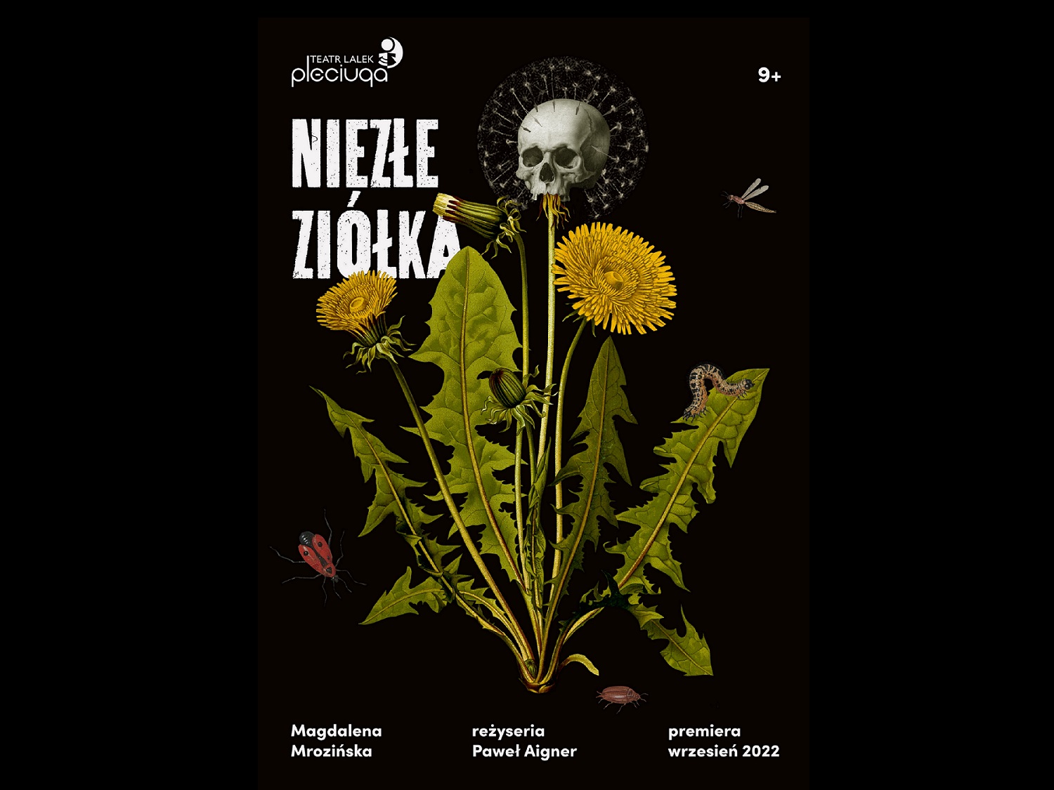 Nice herbs