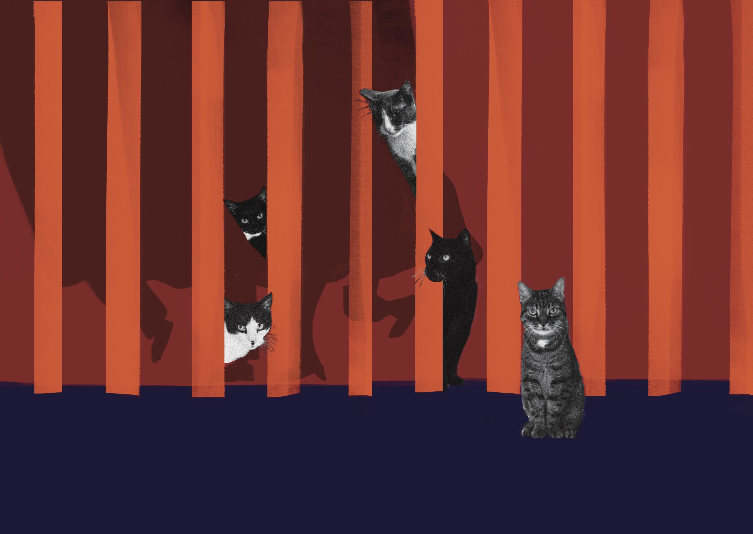 Cat Shayk and ghosts in the theater