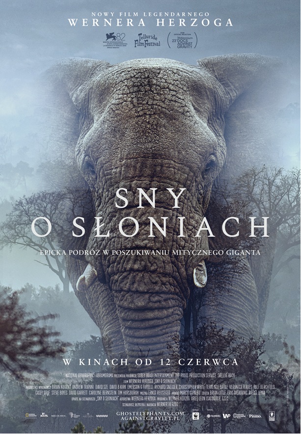 Dreams of Elephants