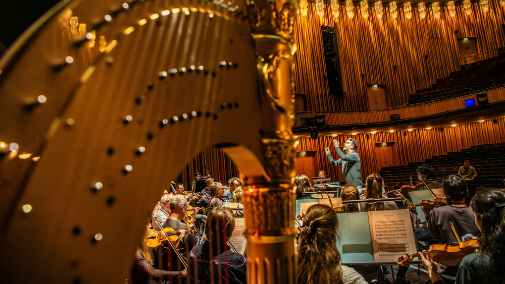 Special Orchestra Tour