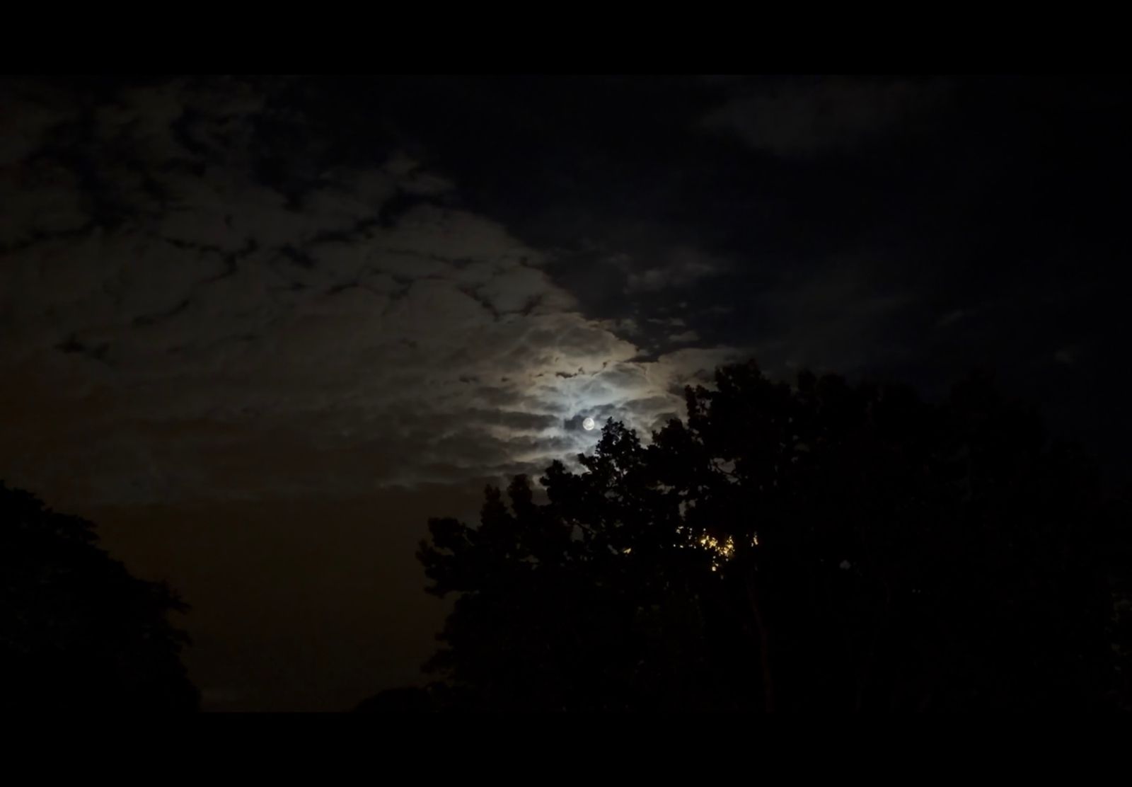 Borrowed Light