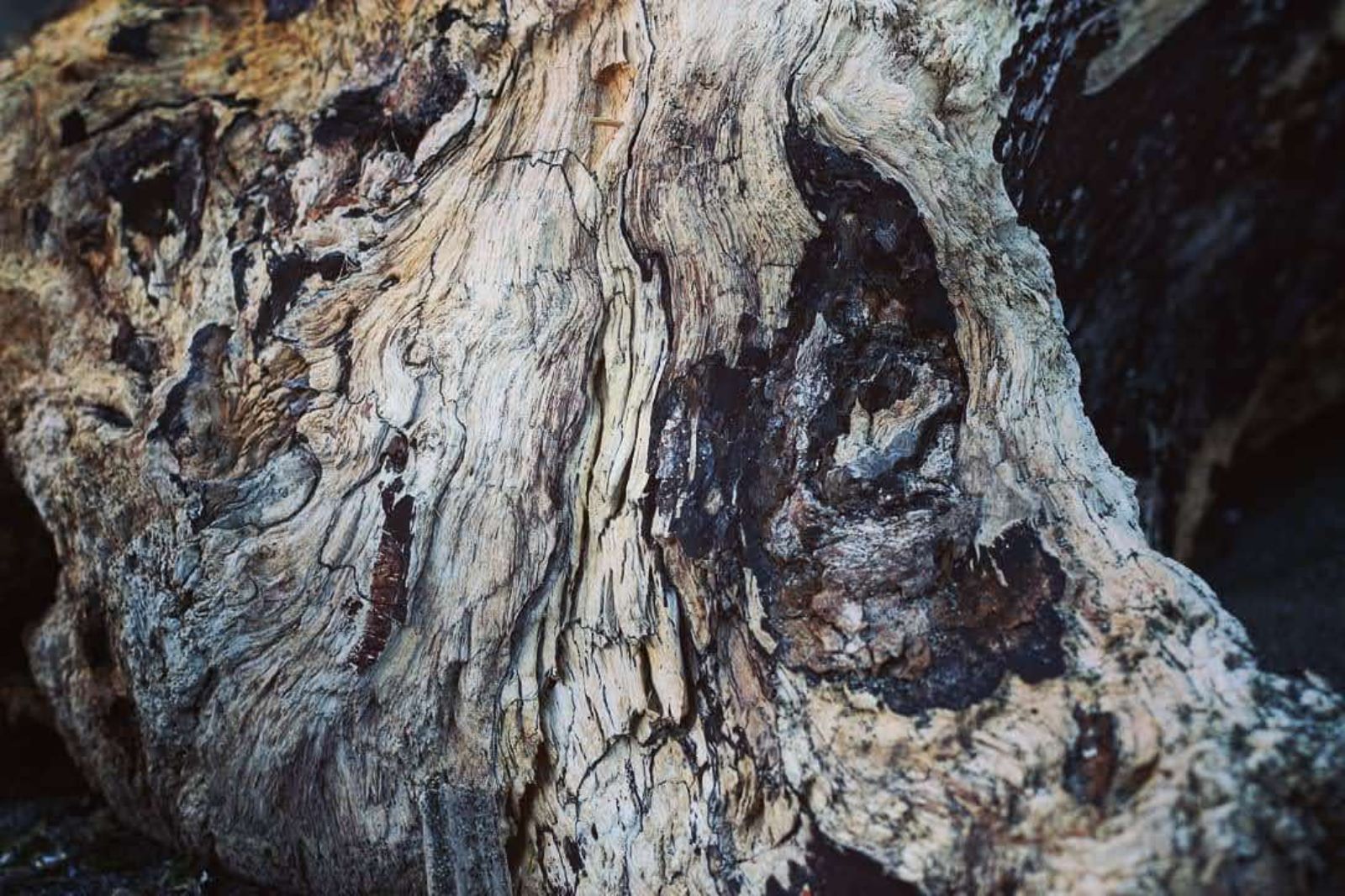 Along, Across, and Against the Grain: On Spectral Densities and Margins of Play