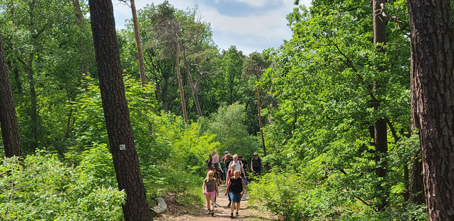 Wanderung im Grunewald