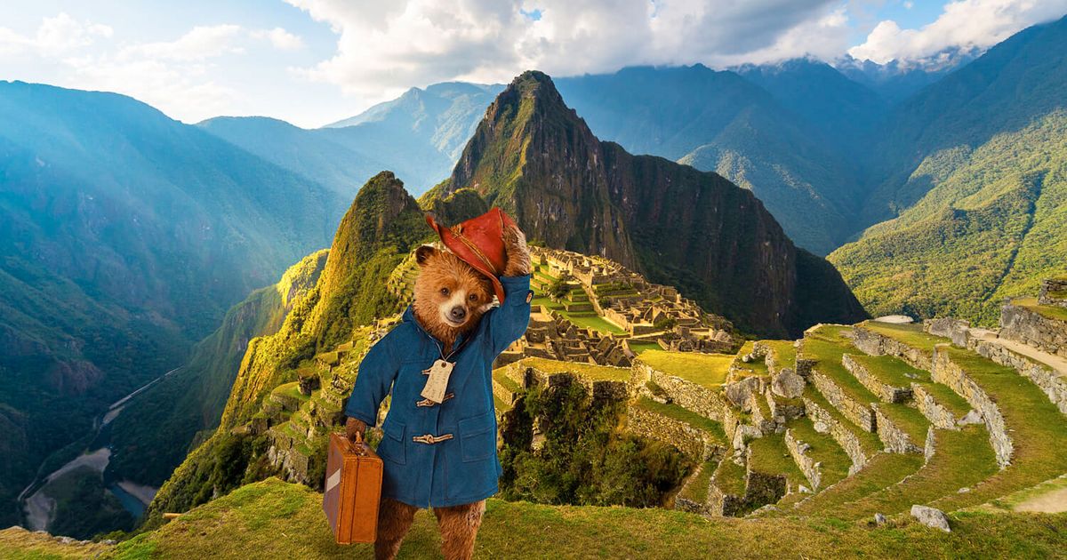 Paddington in Peru