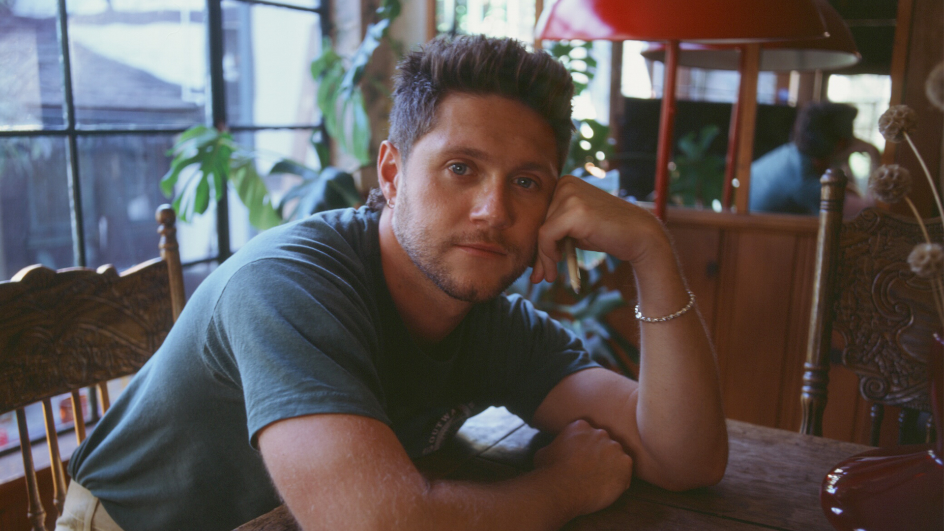 Niall Horan: Dinner Party Live On Tour