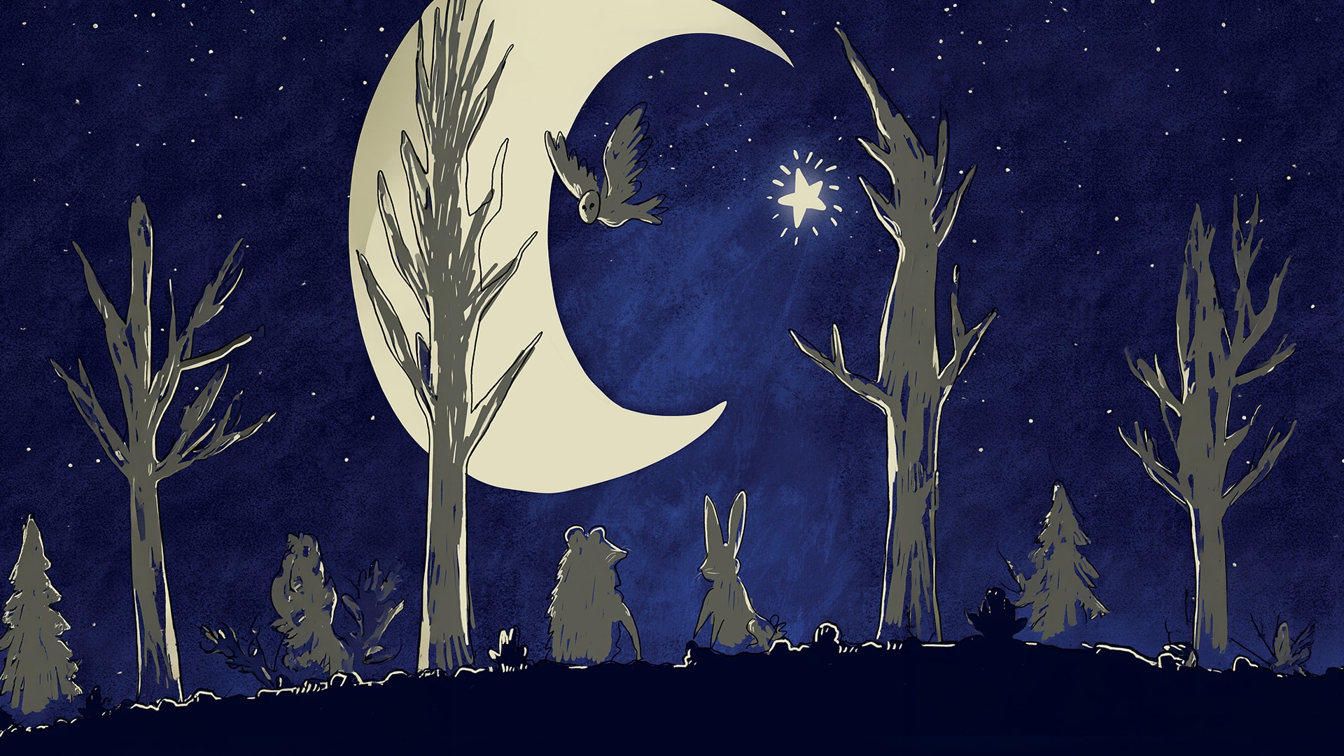 Twinkle Twinkle