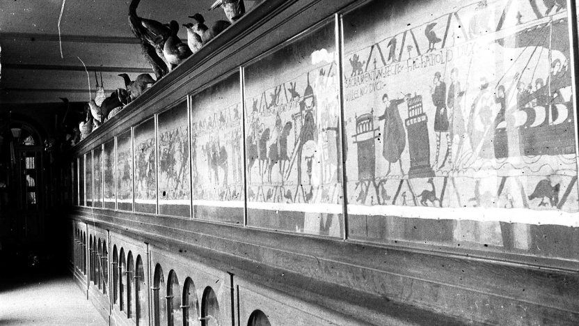 The Bayeux Tapestry on Display
