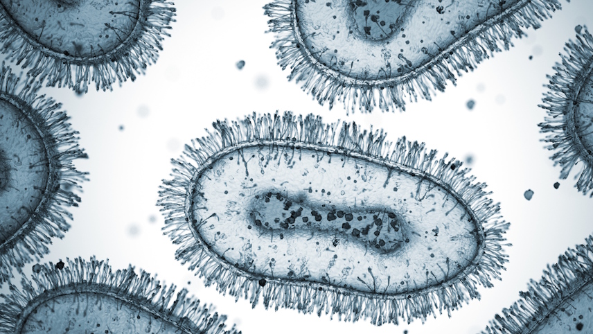 Francis Crick Prize Lecture: Pathogens and the power of evolution