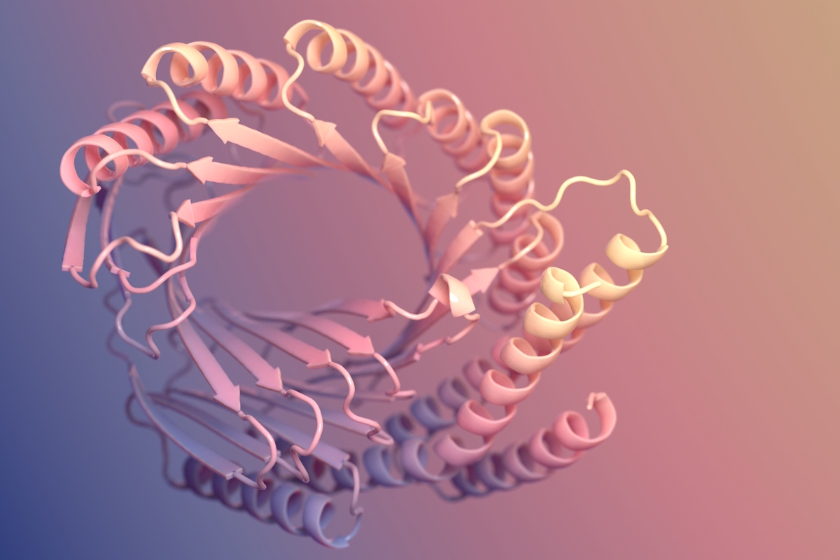 Croonian Prize Lecture: Advances in computational protein design