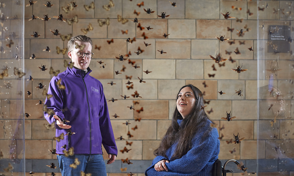 Science of the Natural History Museum Tour