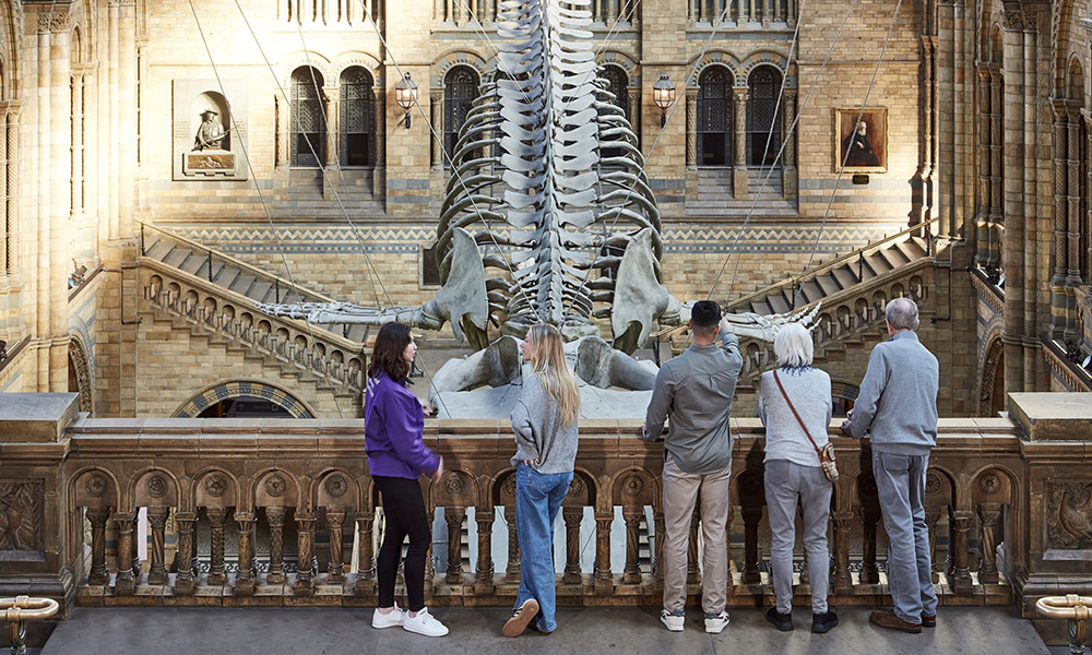 Museum Highlights Tour in Spanish