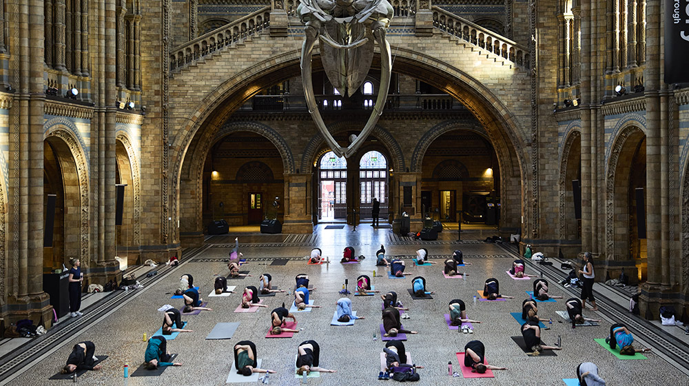 Yoga at the Natural History Museum