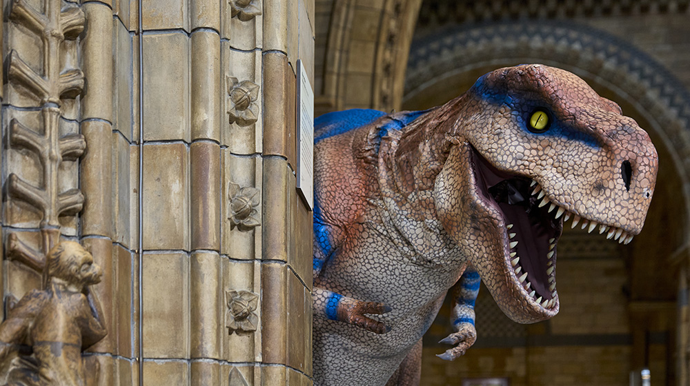 T. Rex Show with Teach Rex