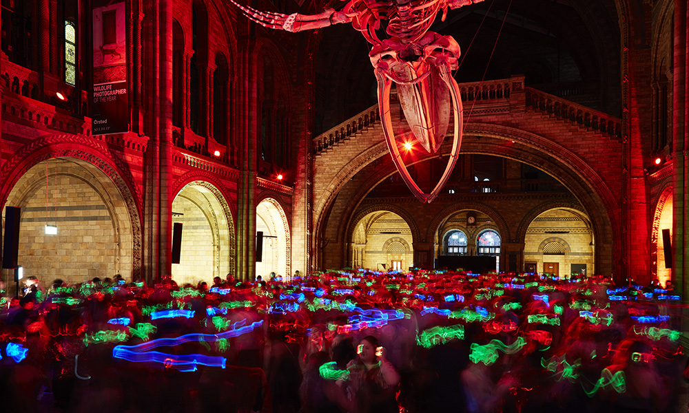 Dino Disco for Kids