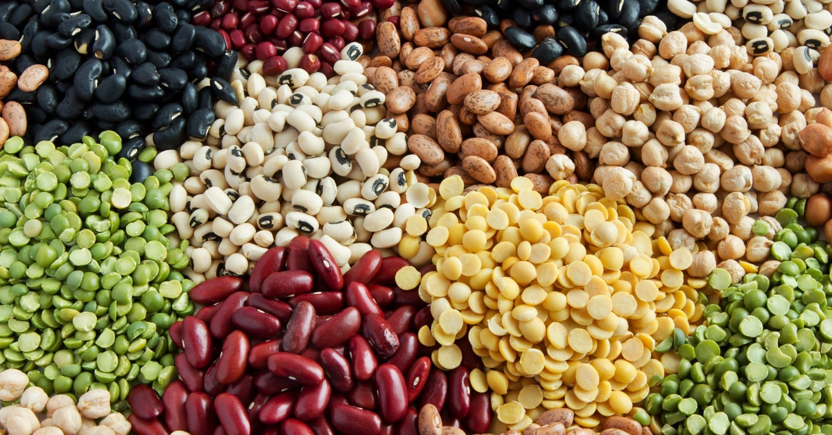 Beans in Britain: Fact and Fiction