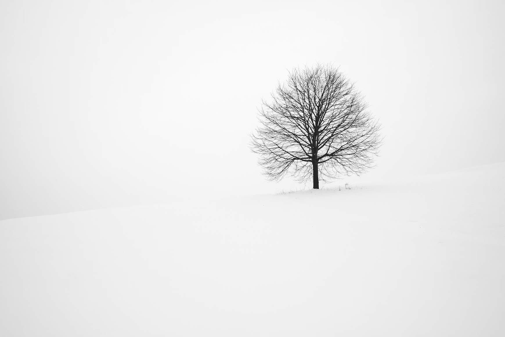 Winterreise with Roderick Williams
