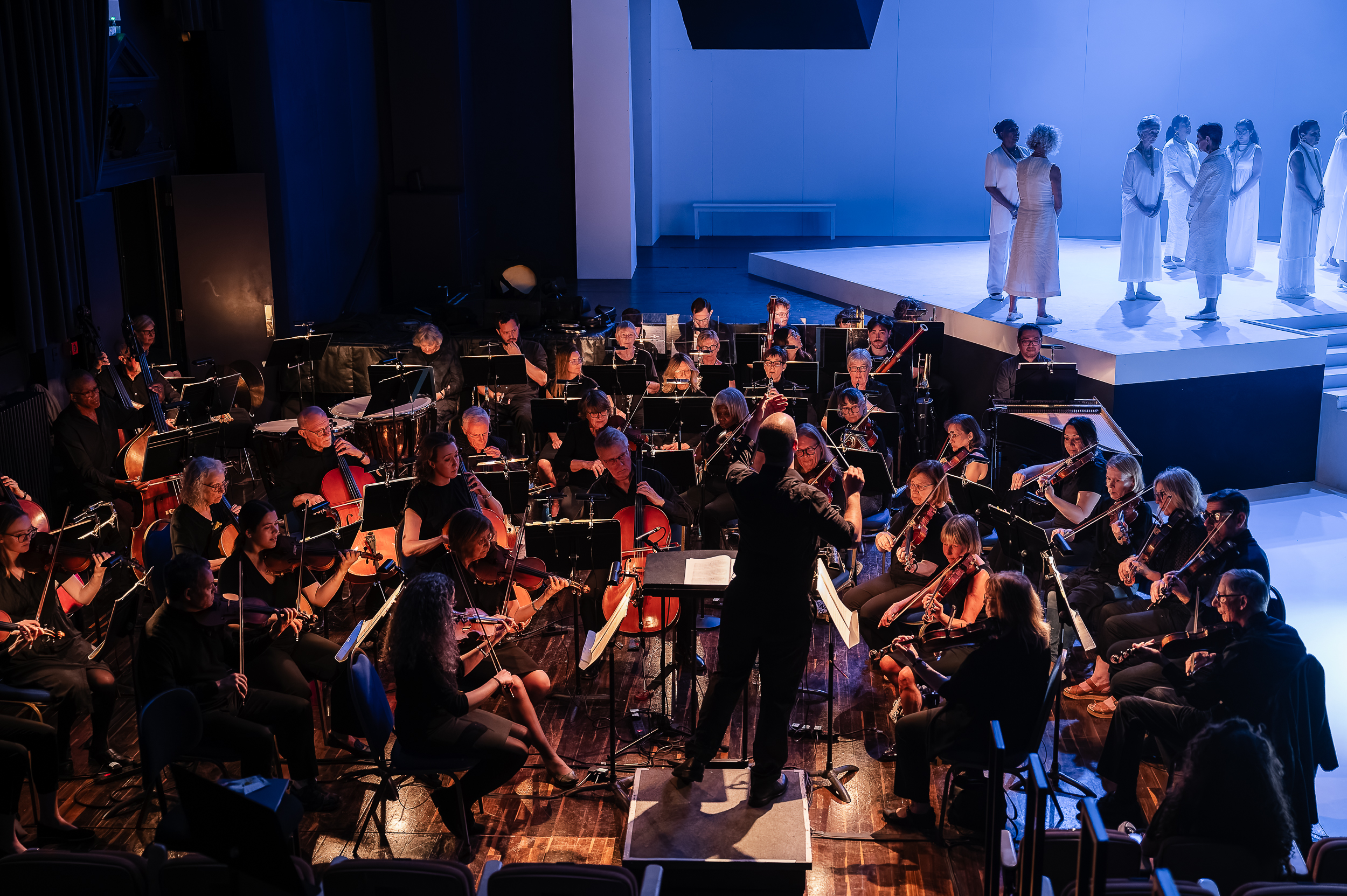 Blackheath Halls Orchestra Christmas Concert 2026 Course