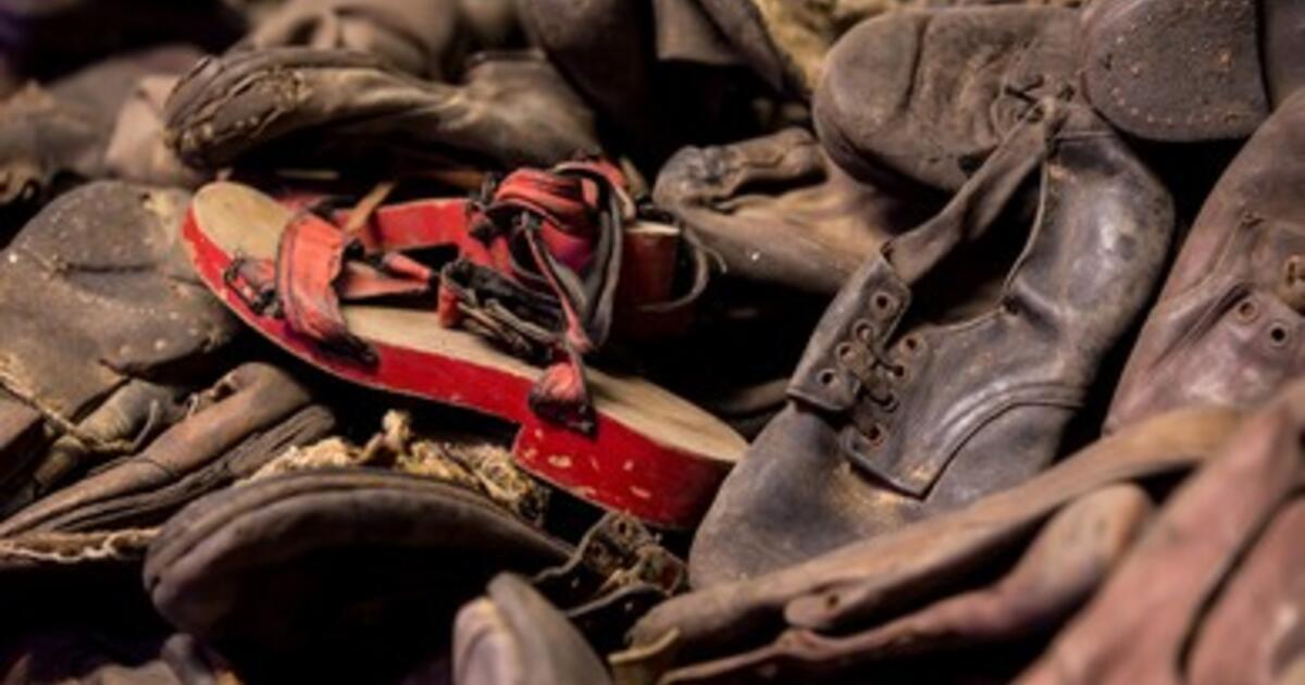 Material Witness: Understanding the Objects of Auschwitz