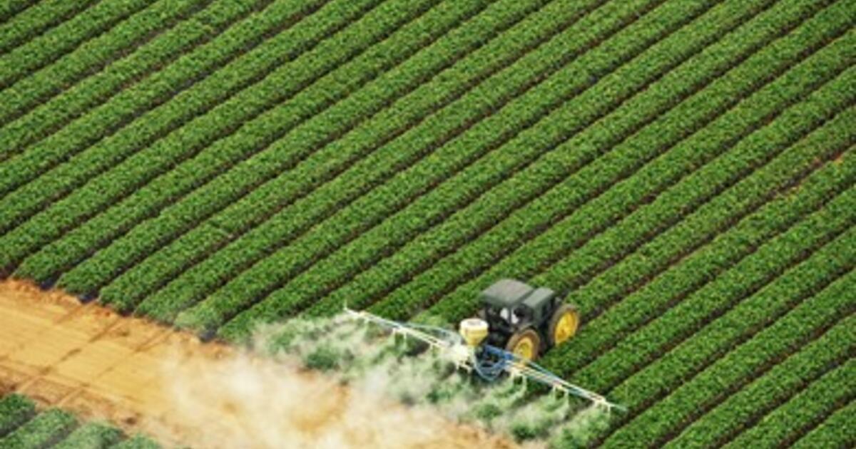 Life, Death and Bubbles: The Story of Earth’s Nitrogen