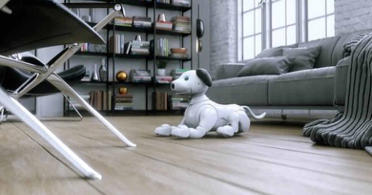 AI as Companion? From Digital Pets to Simulated Empathy