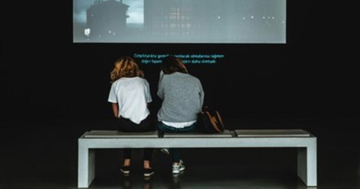 The Practices and Politics of Film Subtitles