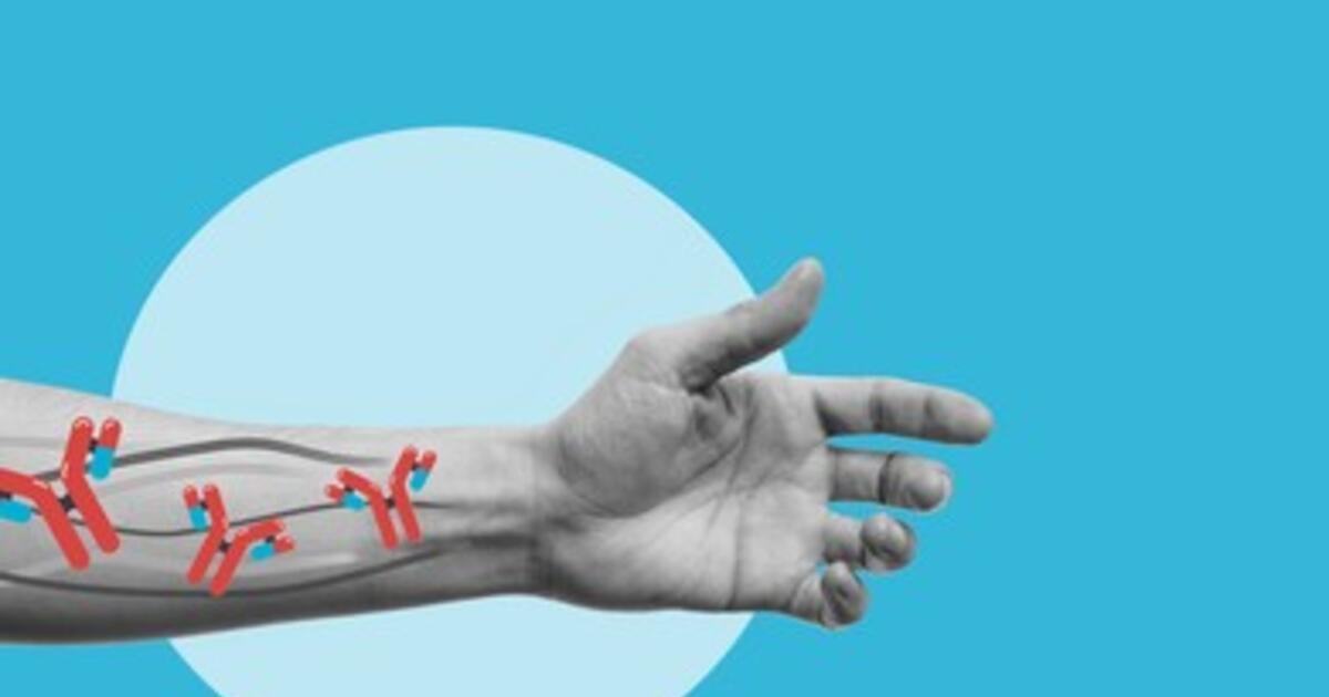 How Versatile are Therapeutic Antibodies?
