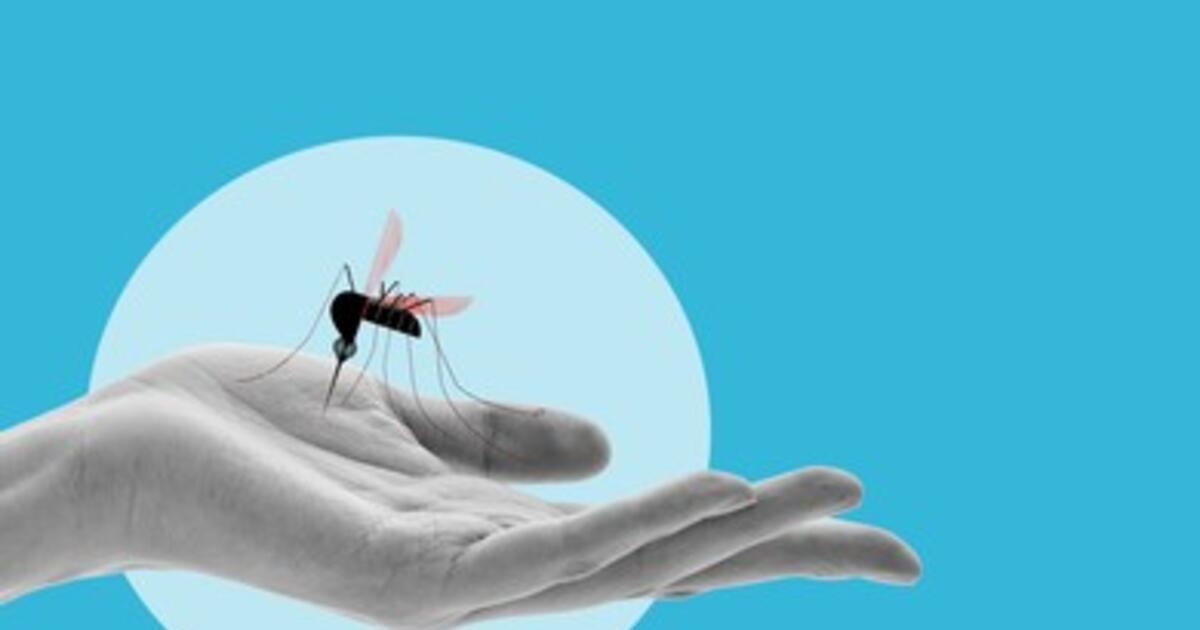 Can We End Malaria?