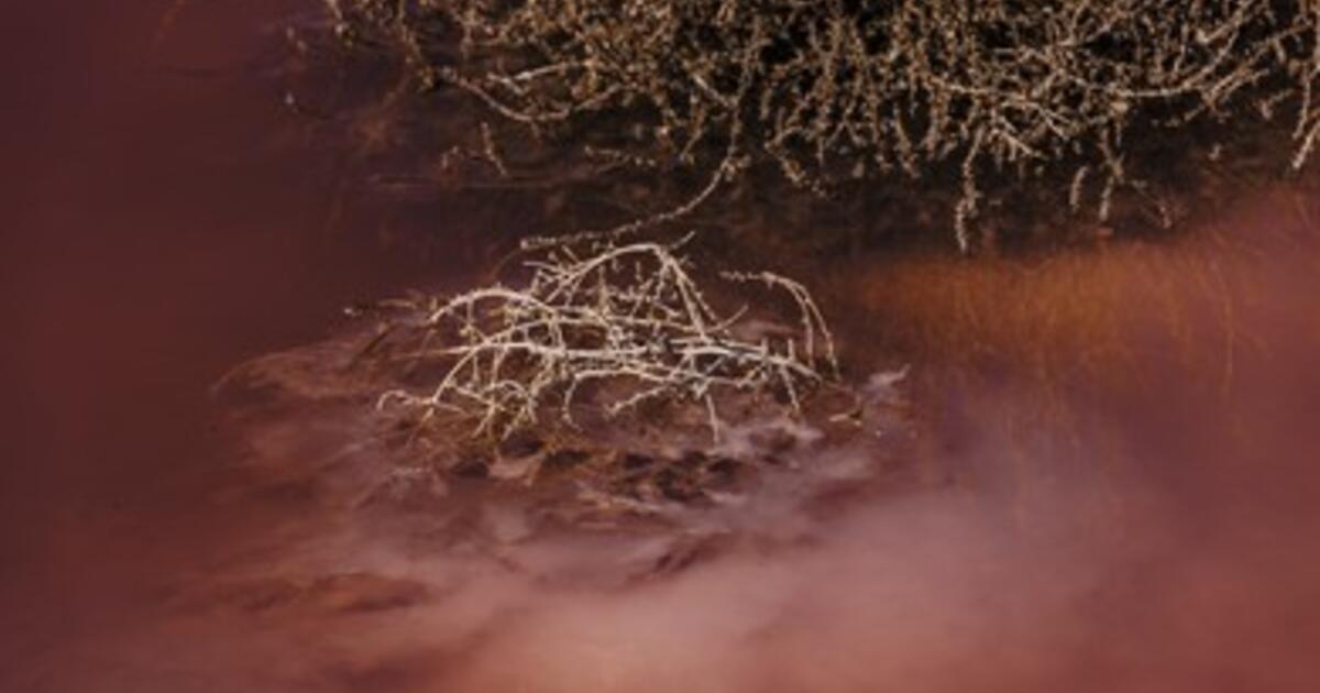 New Molecules on an Old Planet: How Pollution Clashes with the Earth System