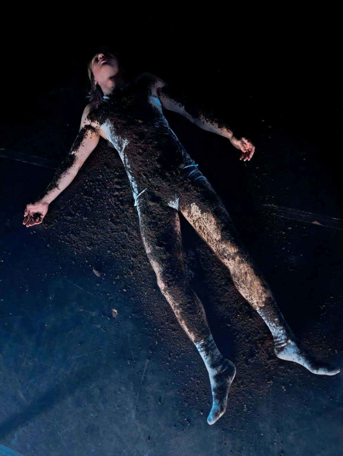 ZOMBIE SUMMER NIGHT DREAM