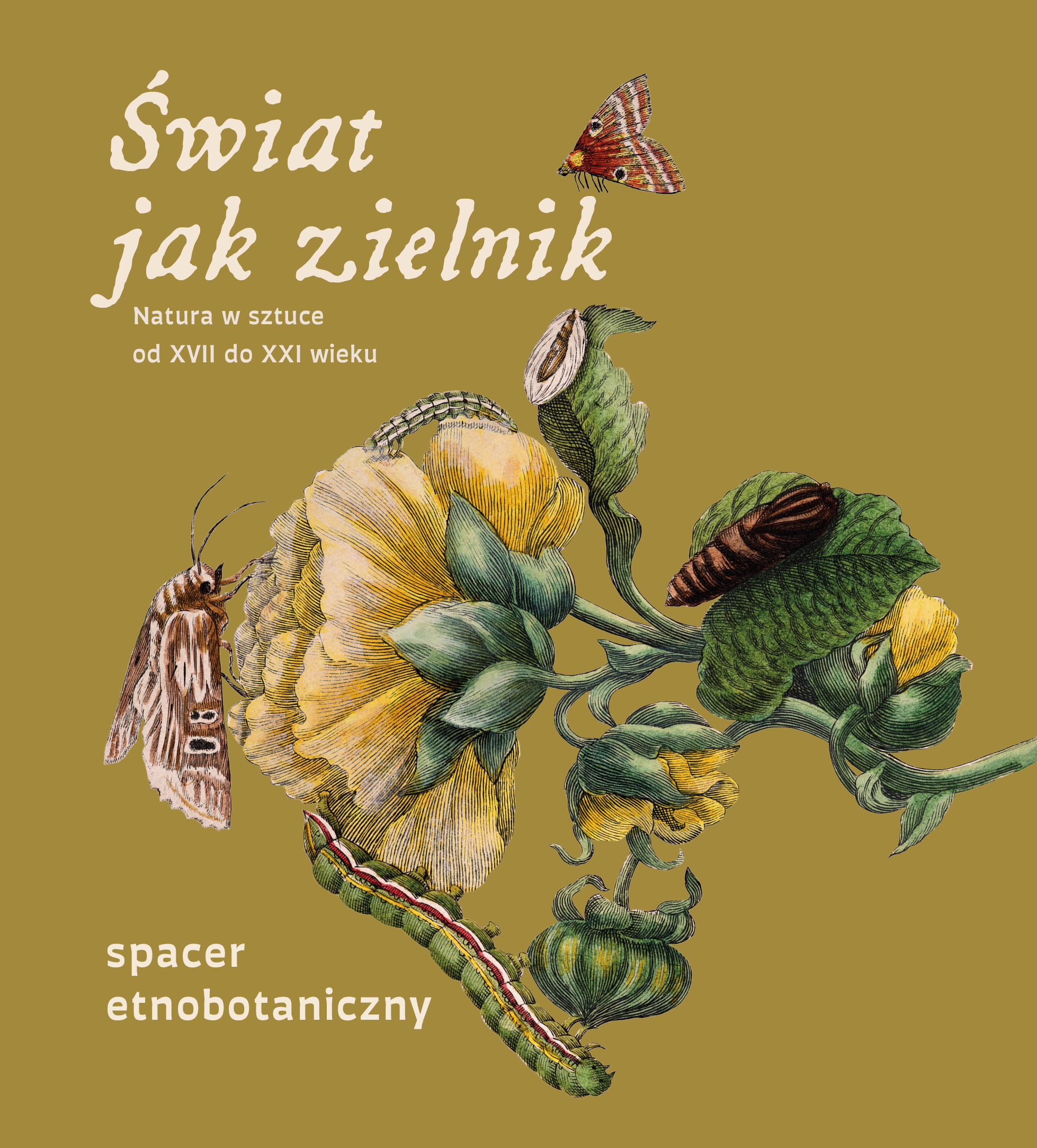 Wędrówki roślin – spacer etnobotaniczny dla dorosłych | ŚWIAT JAK ZIELNIK