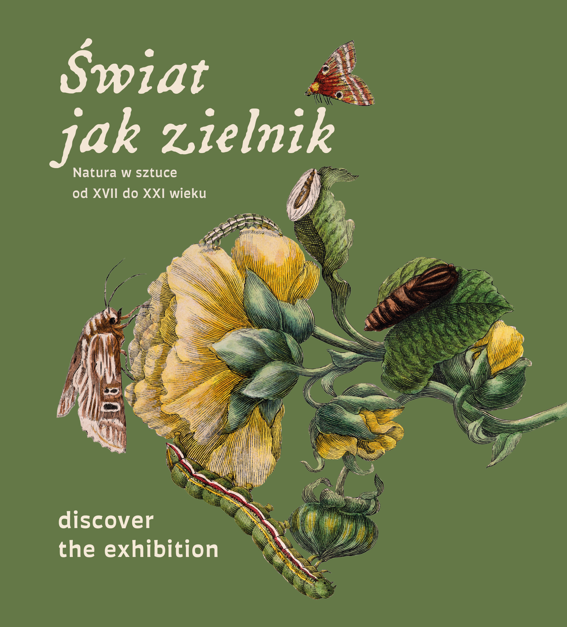 Zwiedzanie wystawy po angielsku | ŚWIAT JAK ZIELNIK