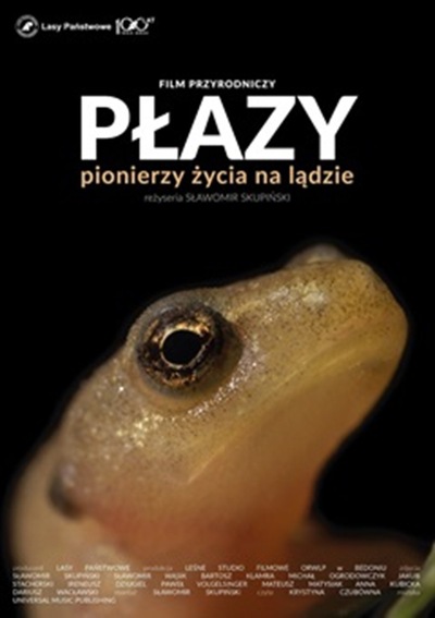 Leśne studio filmowe: PŁAZY. PIONIERZY ŻYCIA NA LĄDZIE