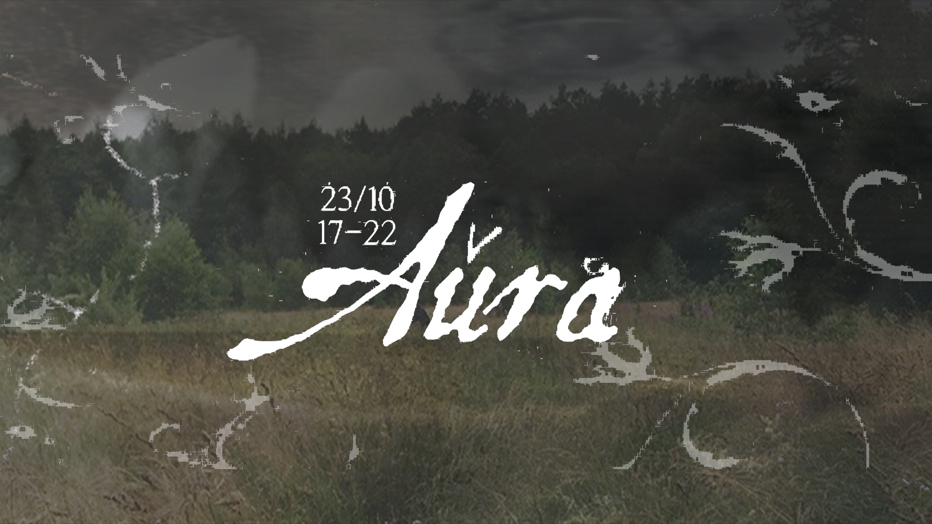 aûra: Babina Leta, Stereometrix LIVE, Hazy Flora, Samogulov, Pasha Plaha