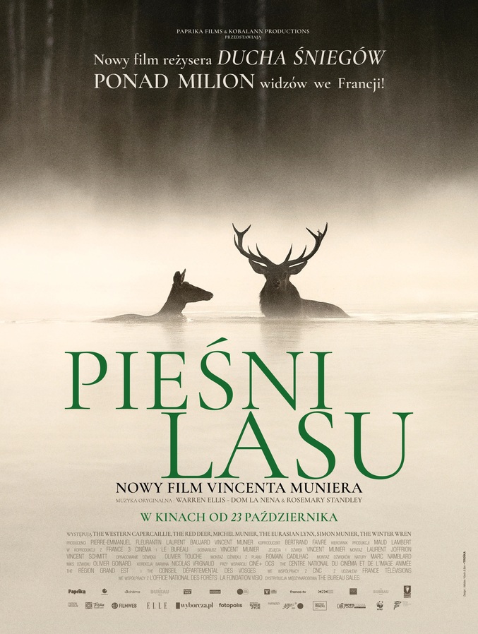 Gdynia Filmowa 2026 | Forest Songs - FRAGRANCE SHOW