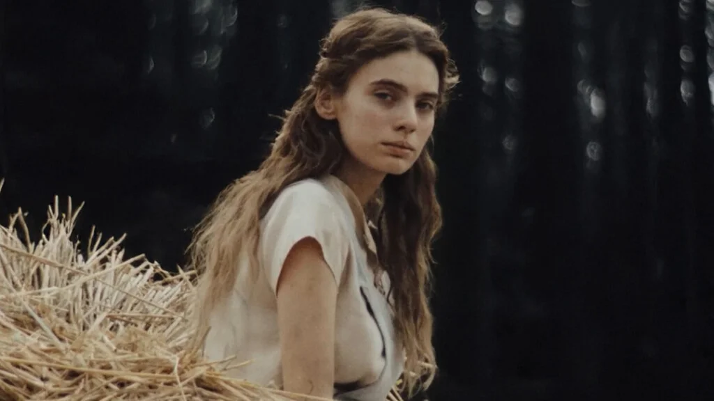 Wpatrując się w słońce