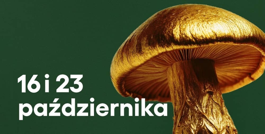 Adult Workshops. Mushrooms. Kingdom Underappreciated