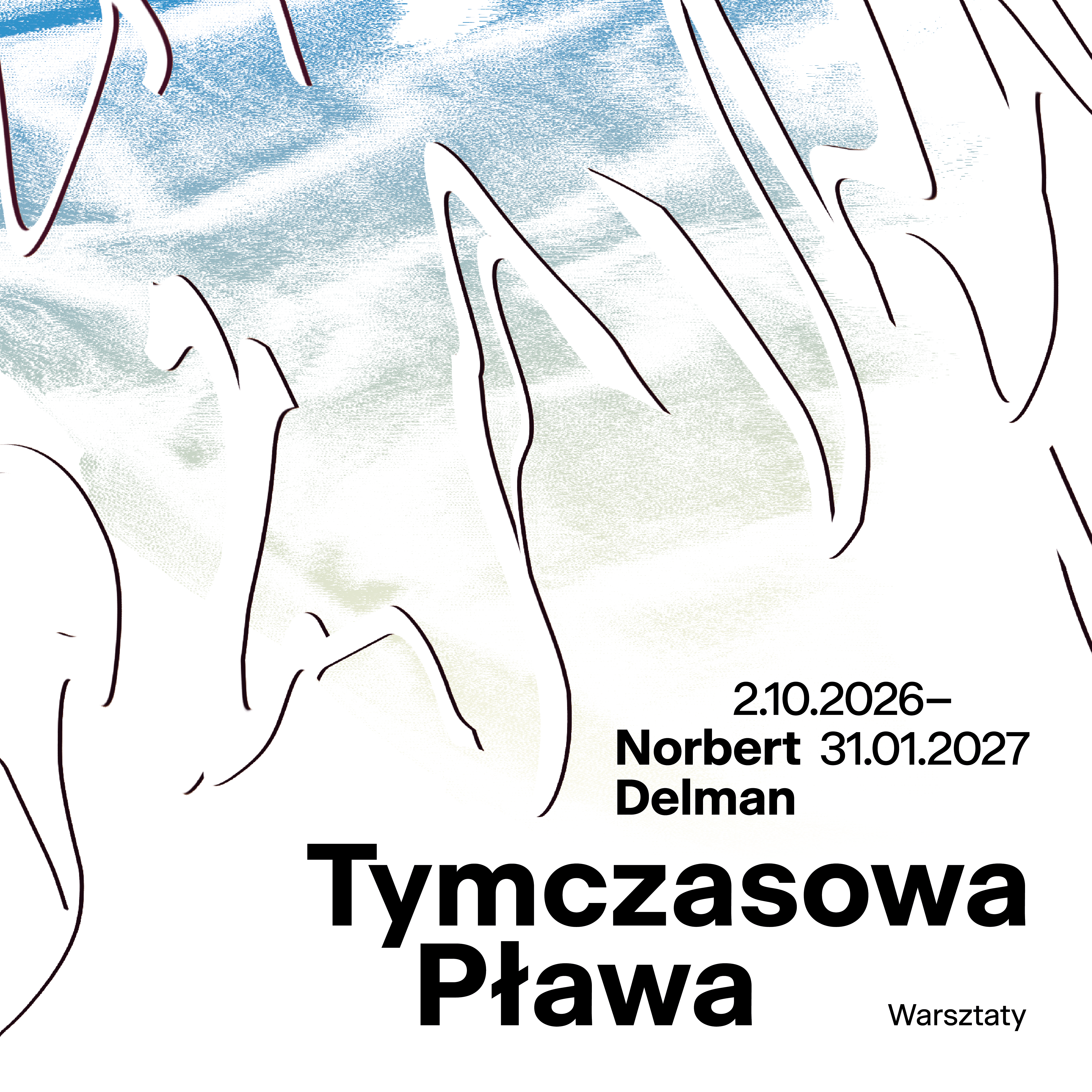 Workshop on geometrization and the shape of flora | Norbert Delman Temporary swimming